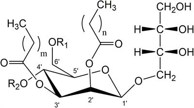 Growth Behavior of Selected Ustilaginaceae Fungi Used for Mannosylerythritol Lipid (MEL) Biosurfactant Production – Evaluation of a Defined Culture Medium